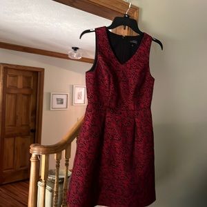 The Limited Dress